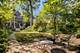 2125 Sherman, Evanston, IL 60201