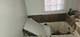 1059 E 80th, Chicago, IL 60619