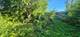 1059 E 80th, Chicago, IL 60619