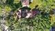 844 Bode, Elgin, IL 60120
