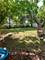 275 Quarry, South Elgin, IL 60177