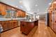 2248 Aster, Naperville, IL 60565