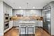 1155 N Dearborn Unit 1001, Chicago, IL 60610