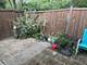 979 Vine, Winnetka, IL 60093