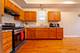 4024 W Wilcox, Chicago, IL 60624