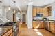 1103 S Clinton, Oak Park, IL 60304