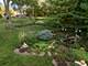 635 W Kenilworth, Palatine, IL 60067