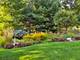 635 W Kenilworth, Palatine, IL 60067