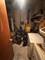 639 W 80th, Chicago, IL 60620