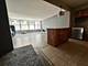 1000 N Lake Shore Unit 1007, Chicago, IL 60611