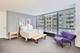 900 N Lake Shore Unit 802-4, Chicago, IL 60611