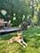 2643 W Maypole, Chicago, IL 60612
