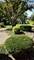 426 S Adeline, Addison, IL 60101