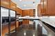 621 W Barry Unit 304, Chicago, IL 60657