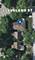 4555 Cleveland, Skokie, IL 60076