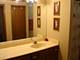 1433 Woodhollow, Flossmoor, IL 60422