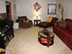 1433 Woodhollow, Flossmoor, IL 60422
