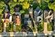 755 Division, Barrington, IL 60010