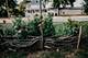 345 E Market, Somonauk, IL 60552