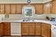 1031 Lindenwood, Aurora, IL 60506
