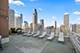 1000 N Lake Shore Unit 1808, Chicago, IL 60611