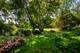 2255 Palmer, Naperville, IL 60564