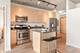 1845 S Michigan Unit 1003, Chicago, IL 60616