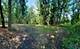 14414 W 167th, Homer Glen, IL 60491