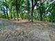 14414 W 167th, Homer Glen, IL 60491