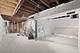 1116 S Independence, Chicago, IL 60624