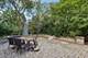 6619 Palma, Morton Grove, IL 60053