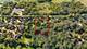 25 W 500 Royce, Naperville, IL 60565
