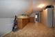 2448 S Homan, Chicago, IL 60623