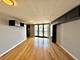 111 W Maple Unit 3007, Chicago, IL 60610