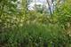 10546 S State, Chicago, IL 60628