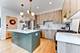 1624 S Carpenter Unit 3, Chicago, IL 60608