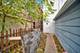 6447 N Glenwood, Chicago, IL 60626