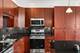 1825 N Winnebago Unit 302, Chicago, IL 60647