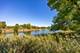 915 Carlisle, Westmont, IL 60559