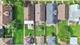 3829 Wisconsin, Berwyn, IL 60402