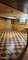 7658 S Seeley, Chicago, IL 60620
