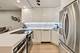 88 W Schiller Unit 305L, Chicago, IL 60610