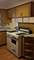 1135 S Oak Park, Oak Park, IL 60304