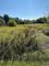43W321 Creekside, St. Charles, IL 60174