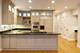 2725 N Magnolia Unit SFH, Chicago, IL 60614