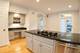 2725 N Magnolia Unit SFH, Chicago, IL 60614