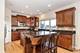 4043 Juneberry, Naperville, IL 60564