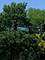 2542 N Sacramento Unit B, Chicago, IL 60647