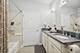 1124 Lake Unit 511, Oak Park, IL 60301