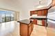 1250 S Indiana Unit 1408, Chicago, IL 60605